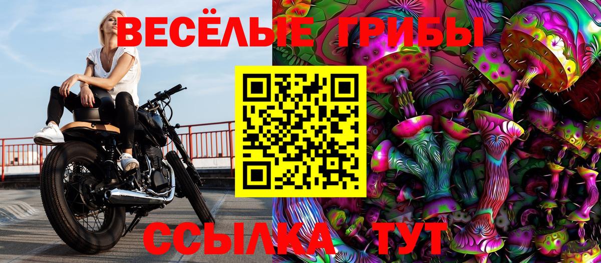 Пермь  Псилоцибиновые грибы MAGIC MUSHROOMS  Вход с VPN  купить закладку  Псилоцибиновые грибы мицелий 